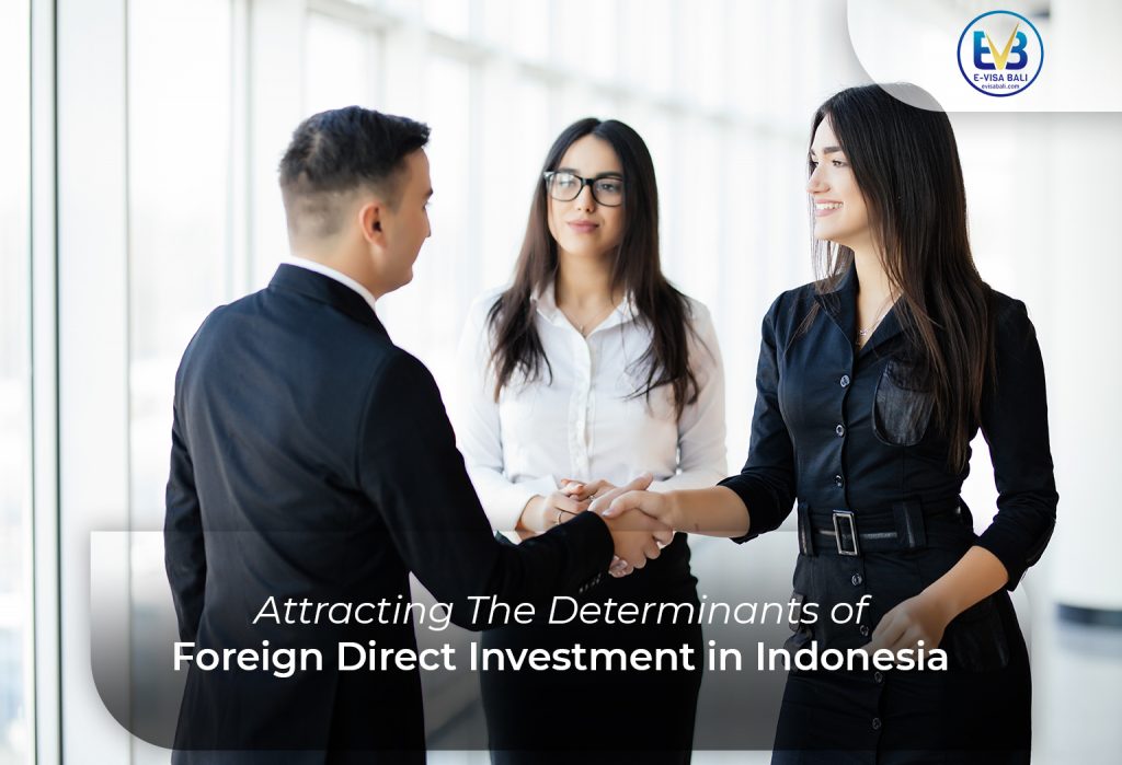 Foreign Direct Investment (FDI) is an investment made by a foreign investor in the business of a citizen of another country.